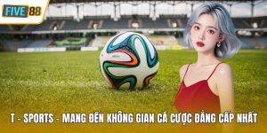 T - Sports